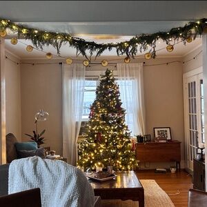 Dried Orange Slices On Twine 10 Feet Long